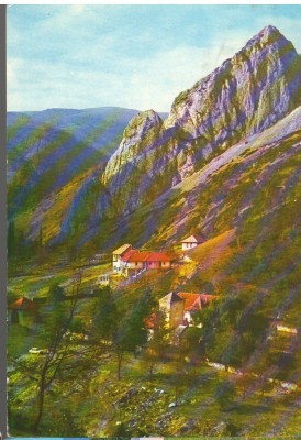 CPI B14138 CARTE POSTALA - MUNTII APUSENI. CHEILE RIMETULUI foto