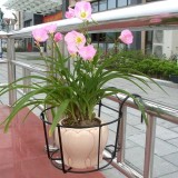 Cumpara ieftin Suport metal ghiveci balcon negru 15-30cm diametru, 9-17cm inaltime, accesorii gradina