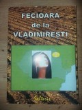 Fecioara de la Vladimiresti