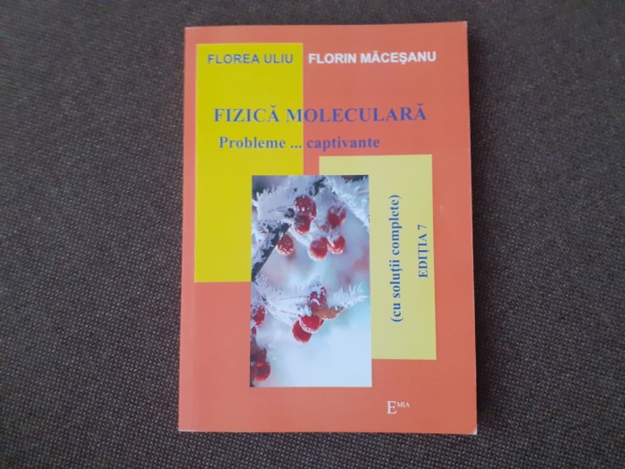FIZICA MOLECULARA Probleme... captivante - Florea Uliu, Florin Macesanu