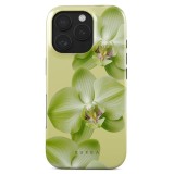 Burga Husa Dual Layer Purity iPhone 16 Pro