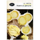 Panait Cerna - Floare si genune - poezii - 113276, Alexandre Dumas