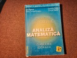 Exercitii si probleme de analiza matematica clasa a XI-a - Ion Petrica, Emil C