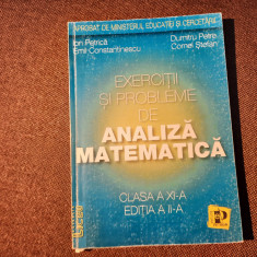 Exercitii si probleme de analiza matematica clasa a XI-a - Ion Petrica, Emil C