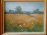 Tablou Adrian Mititelu &quot;Camp&quot;, 40x32 cm, ulei/panza, inramat, deosebit