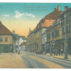 3267 - SIBIU, Market, Romania - old postcard - unused - 1915