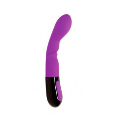 Vibrator Punctul G NYX 10 Moduri Vibratii Silicon USB Mov 20.7 cm