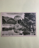 Carte poștală Lacul Roșu -Vedere spre Suhard RPR