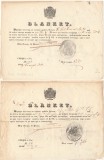 Moldova 1852-53 lot 2x Blanket oficial de posta cu stema Principatului eliberate de visterie pentru calatorii in interesul statului