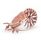PAPO FIGURINA NAUTILUS