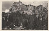 1943 Gyilcos (Ghilcos / Lacul Rosu) - Cabana in imprejurimi, ilustrata turistica circulata, Fotograf Ambrus din Gheorgheni