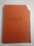 CVMIDAVA XIV - Muzeu Judetean Brasov 1989