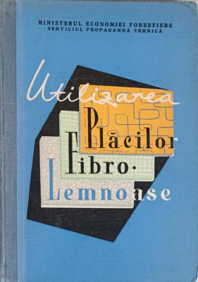 UTILIZAREA PLACILOR FIBRO-LEMNOASE-COLECTIV-222120 foto