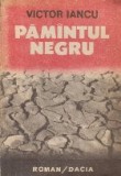 Pamintul negru