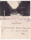 Salutari din Targu Neamt- Gradina- clasica