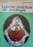 LUCRARI PRACTICE DE ZOOLOGIE-MARIA SUCIU, ALEXANDRINA POPESCU-347411