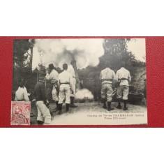 1916 - artileria franceza