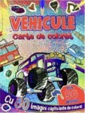 Vehicule - Silvia Ursache-Brega - Editura Flamingo Gd