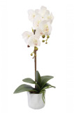 Cumpara ieftin Floare artificiala decorativa cu ghiveci, alb, Orhidee, 52 x 11 cm