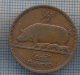 AX 958 MONEDA- IRLANDA - 1/2 PENNY -ANUL 1949 -STAREA CARE SE VEDE