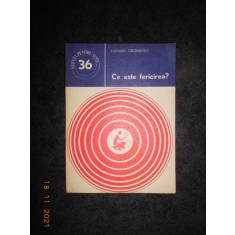 LUDWIG GRUNBERG - CE ESTE FERICIREA?