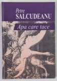 APA CARE TACE , roman de PETRE SALCUDEANU , 2004