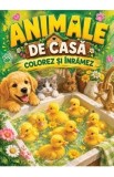 Carte creativa Animale de casa. Colorez si inramez pentru copii. Planse de colorat, format A4, ilustratii alb-negru.