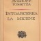 Evanghellos Averoff-Tossitza - Intoarcerea la Micene