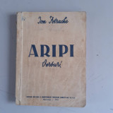 Ion Petrache - ARIPI - versuri