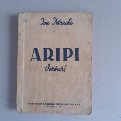 Ion Petrache - ARIPI - versuri foto