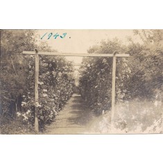 Fotografie din anul 1943