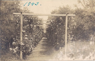 Fotografie din anul 1943 foto