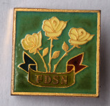 FDSN - Frontul salvarii nationale - insigna politica