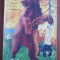 Grizzly: Stapinul muntilor-James Oliver Curwood