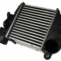 Radiator intercooler SEAT TOLEDO II (1M2) (1998 - 2006) THERMOTEC DAW001TT