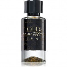 Luxury Concept Oud Underwater Intense Eau de Parfum unisex 50 ml