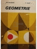 Gh. Galbura - Geometrie (editia 1979)