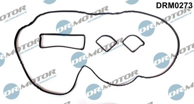 Set Garnituri, Capac Supape 307711 DRM0273 foto