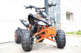 ATV KXD 004-7 RAPTOR # AUTOMAT, Tgb