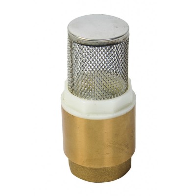Sorb pompa apa curata 1&amp;quot;, Topgarden, 400100 foto