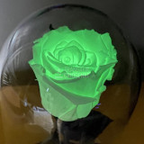 Cumpara ieftin Trandafir Criogenat fosforescent verde &Oslash;6,5cm 10x20cm