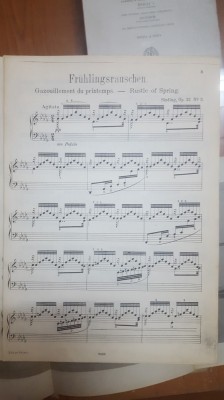 Fruhlingsrauschen, Rustel of Spring, Sinding, Op. 32, Nr. 3 foto