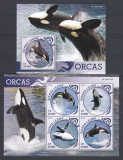 Cumpara ieftin Sierra Leone 2016 - Fauna Marina - ORCA - Sh. + S.S. - MNH, Nestampilat