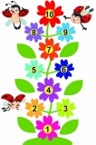 Joc de podea Sotron, Floricele, Buburuze