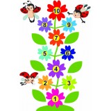 Joc de podea Sotron, Floricele, Buburuze