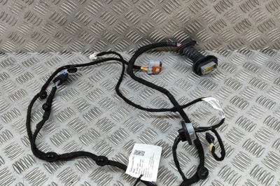 Cablaj ușă st&amp;acirc;nga spate PEUGEOT 3008 SUV 2021 OEM: 9829074380 28291721 foto