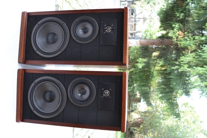 Boxe JBL LX 144