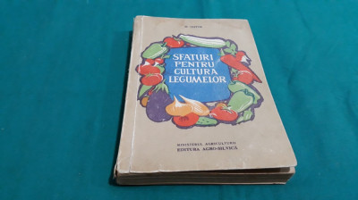 SFATURI PENTRU CULTURA LEGUMELOR/ M.NISTOR/ 1961 foto