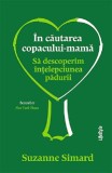 Cumpara ieftin In cautarea copacului-mama | Suzanne Simard