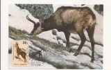 CA13-Carte Postala- Rupicara Rupicara , Capra Neagra, necirculata